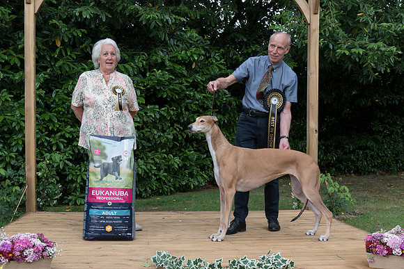 Best In Show - Ch. Europa Decuma via Windspiel