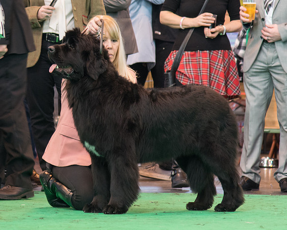 Sakaribear Sending A Kiss To Tallisbay