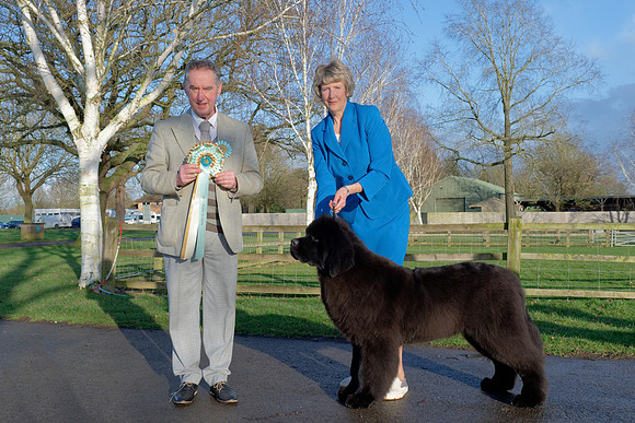 Two Rivers Wise Choice at Colnbear (Imp USA)