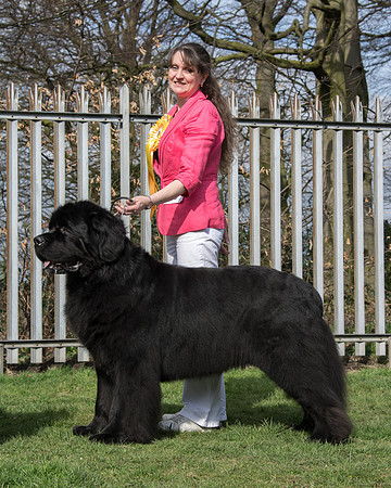 Ch. Priorscove Ebony Eclipse