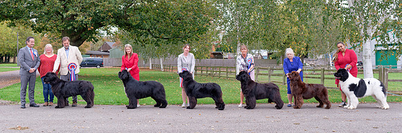 Milan Lint with Winners line-up