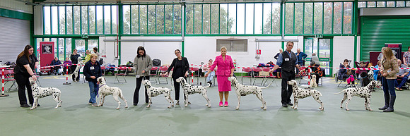 Challenge for Best In Show