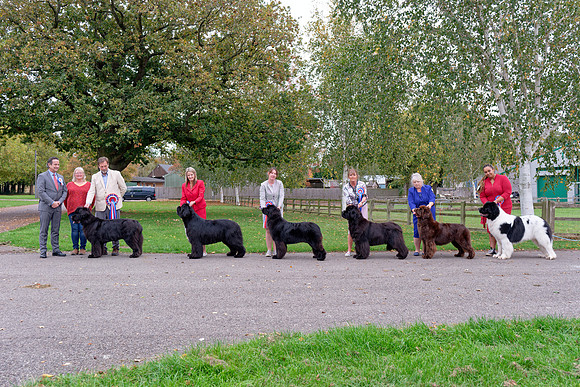 Milan Lint with Winners line-up