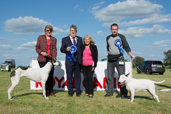 Best In Show & Reserve Best In Show