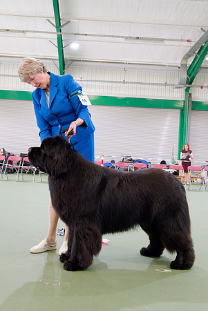 Two Rivers Wise Choice at Colnebear (Imp USA)