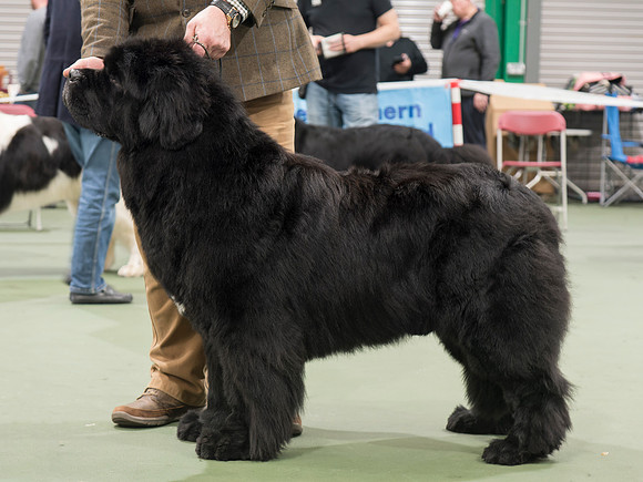 Gunnersnewfs Above N'Beyond to Infinitybear