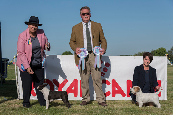 Best Puppy In Show and Reserve Best Puppy In Show