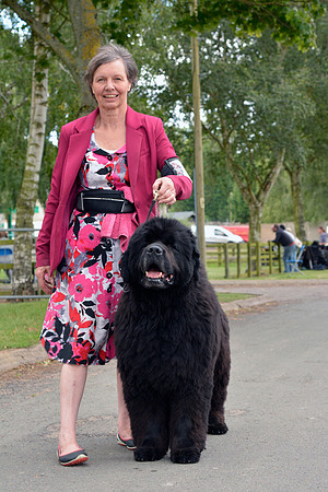 Acara Miss Brassibear of Shinglebay, ShCM