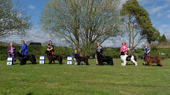 Winners line-up