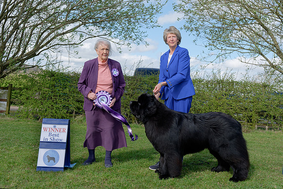 Two Rivers Wise Choice at Colnebear (Imp USA), Bel. Jun. Ch.
