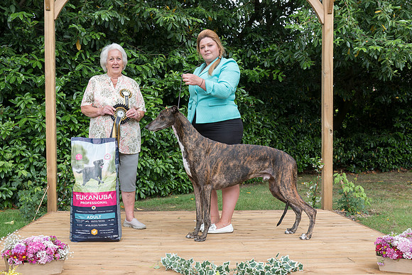 Reserve Best In Show - Ch. Ina's Fashion Dedicated to Boughton (Imp Deu)