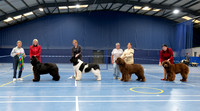 Championship Show - winners line-up