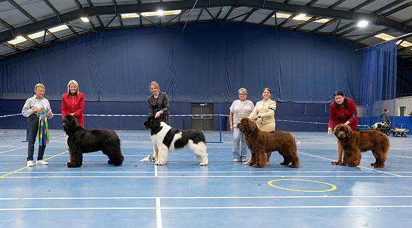 Championship Show - winners line-up