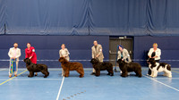 Open Show - winners line-up