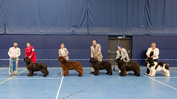Open Show - winners line-up
