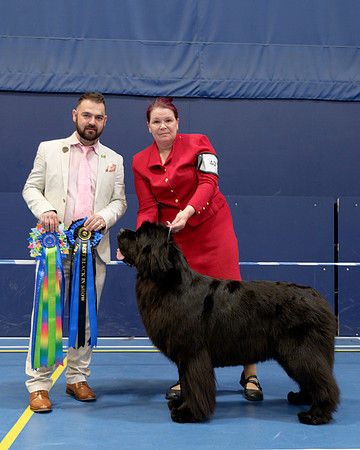 Green Pearl Uniquely Barracechi (Imp Fra), JW