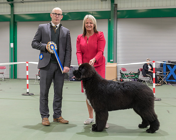 Best Puppy in Show - Sandbears Fourty Four