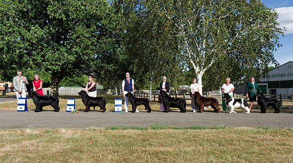 Championship Show - Winners line-up