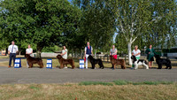 Open Show - Winners line-up