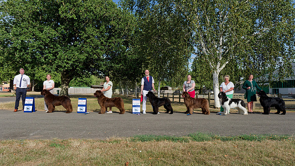 Open Show - Winners line-up
