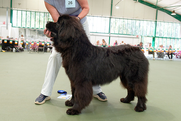 Titanbears Majestic