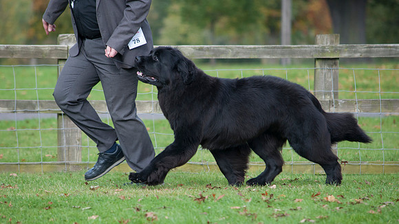 Sensitivity Bliss Nikita at Lindgreave