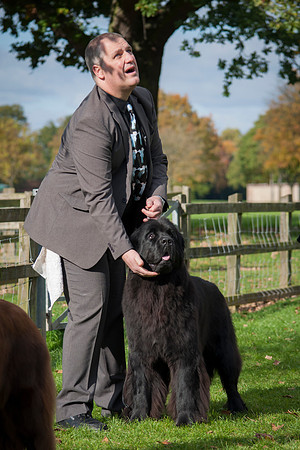 Sensitivity Bliss Nikita at Lindgreave