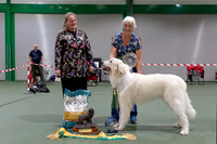 Pyrenean Mountain Dog Club of GB - 12 September 2026