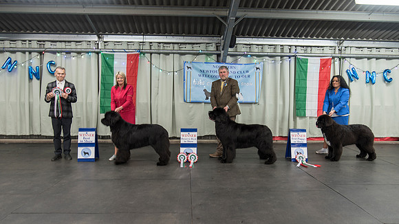 Winners line-up