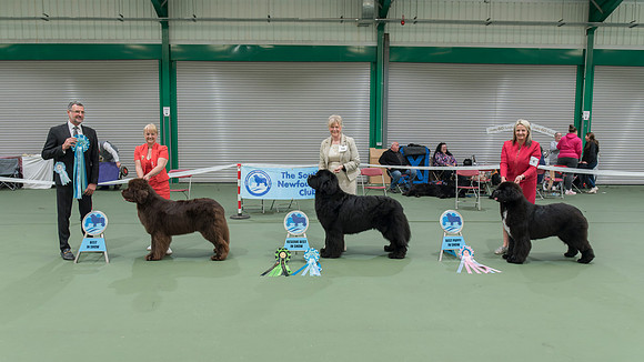 Main Winners line-up