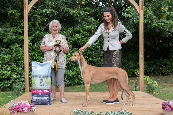 Best Puppy In Show - Ina's Fashion Famous