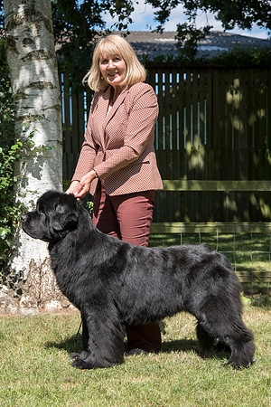 Ch. Merrybear Euphoria at Millthorpe, JW ShCM