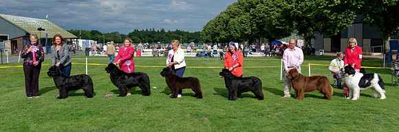 Winners line-up