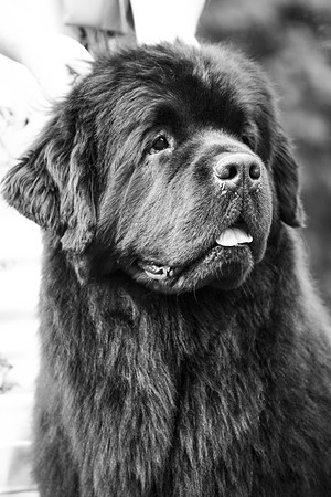 Sensitivity Bliss Nikita at Lindgreave