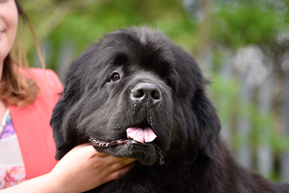 Sensitivity Bliss Nikita at Lindgreave