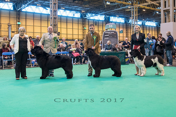 Crufts 2017