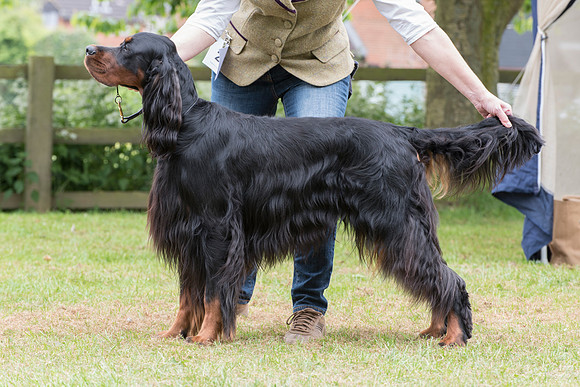 Lignum Master Marlin at Keaswood JW