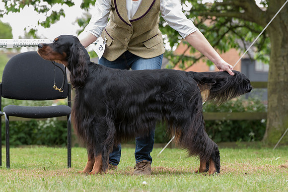 Lignum Master Marlin at Keaswood JW
