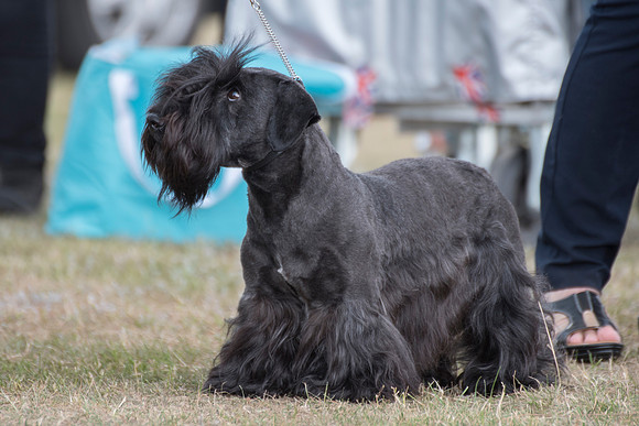 Ashleyheath's Black Thunder