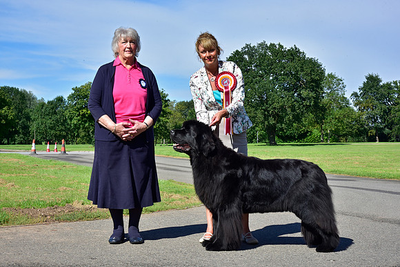 Grand Best In Show - Veteran Winner - Ch. Darkpeak Fallen Angel
