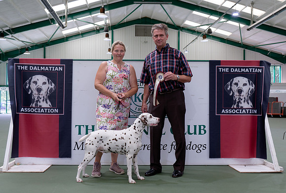 Dalens Bethany Char at Silverspot, JW