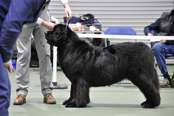 Bearisle's Big Mama