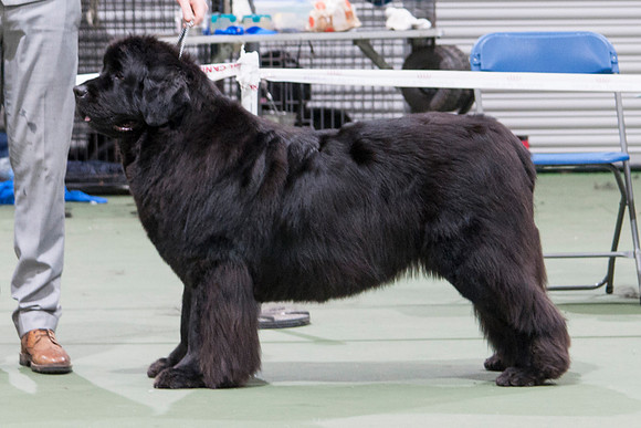 Bearisle's Big Mama