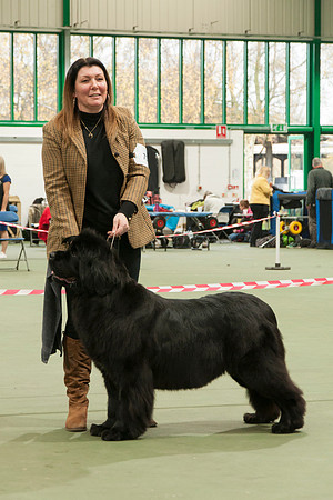 Newgraden Cheeka Belle