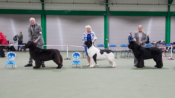 Winners line-up
