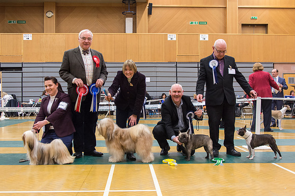 Utility Group winners