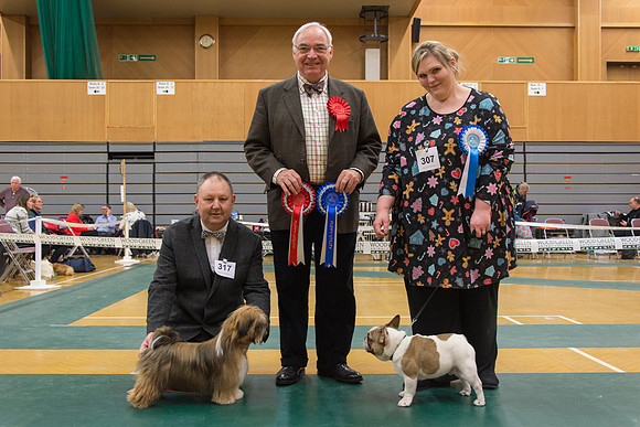 Utility Group Puppy winners