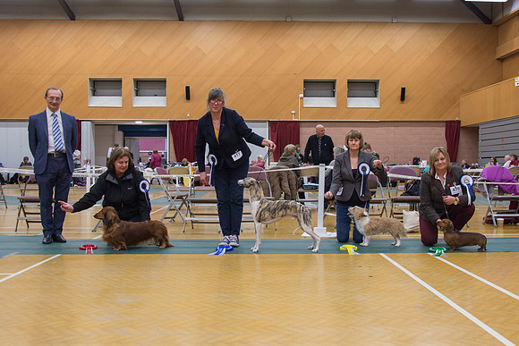 Hound Group winners