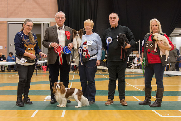Toy Group winners