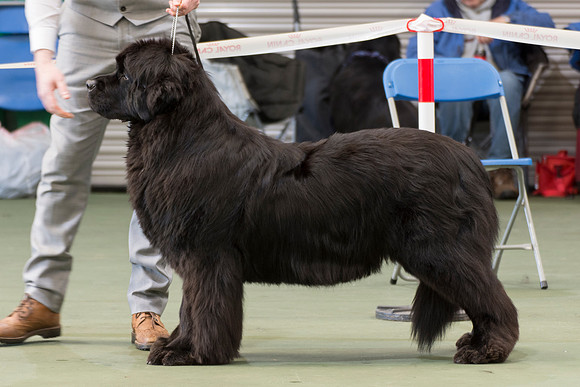 Bearisle's Big Mama